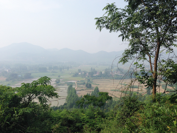 园林基地风光